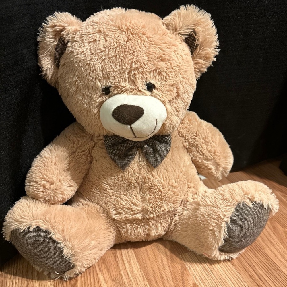 Teddy bear